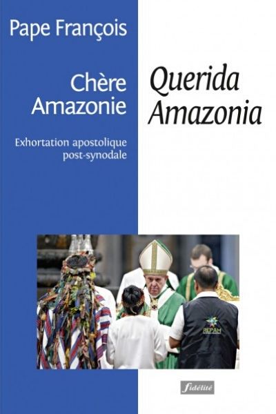 Querida Amazonia pape