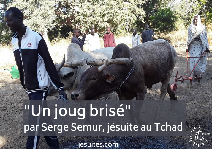 « Un joug brisé », par Serge Semur, jésuite au Tchad