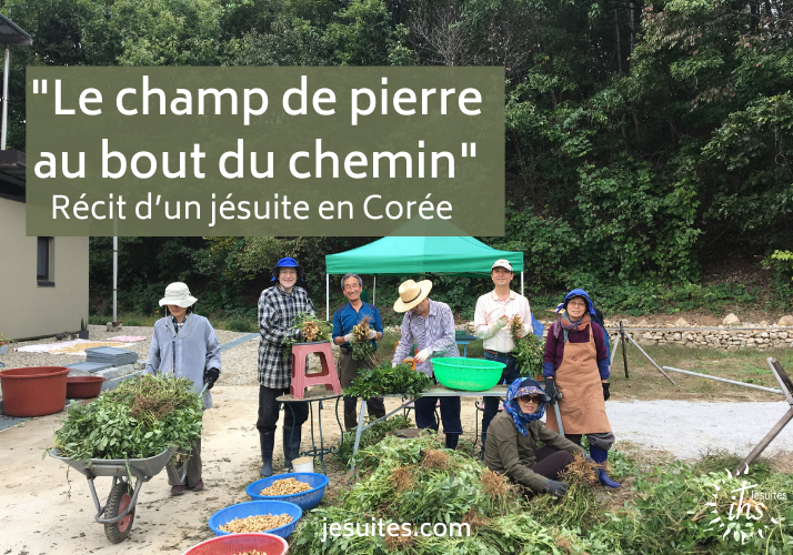 « Le champ de pierre au bout du chemin » – Récit d’un jésuite en Corée