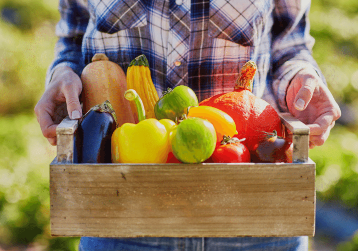 Panier légumes de saison