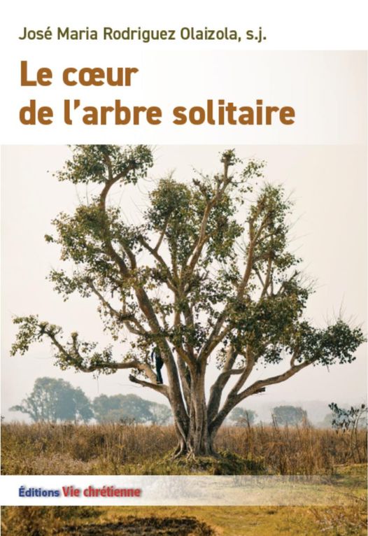 Le cœur de l’arbre solitaire - P. Jose Maria Olaizola sj