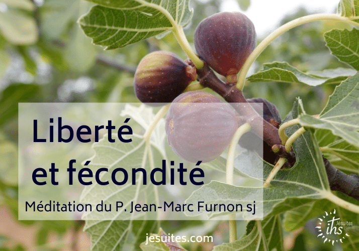 « Liberté et fécondité » – Méditation du P. Jean-Marc Furnon sj pour le Carême